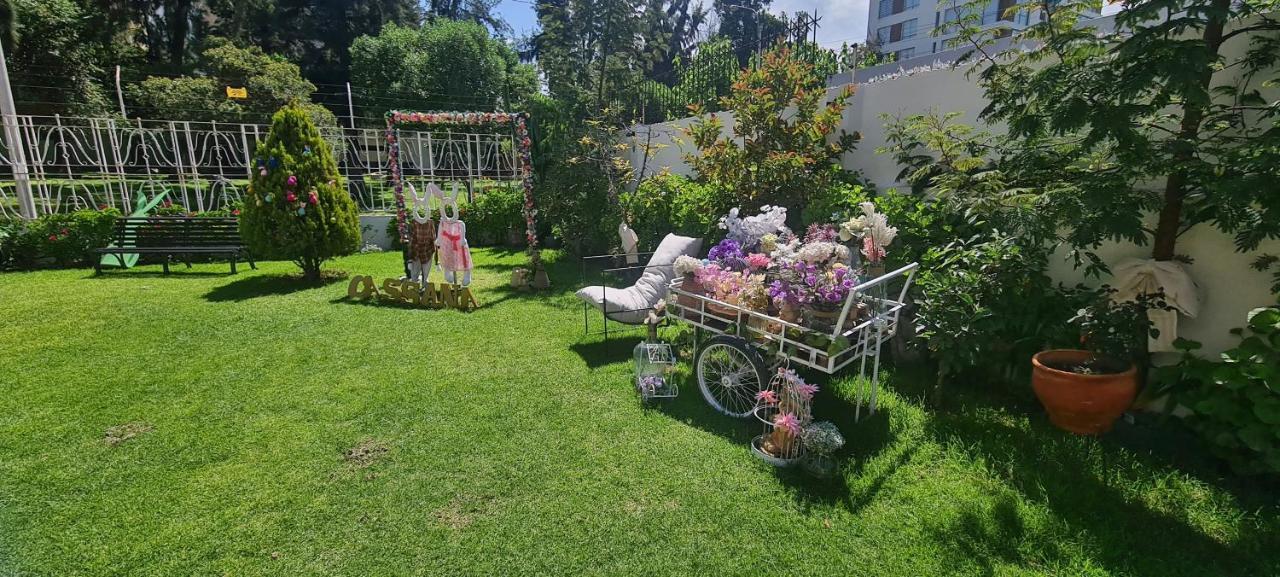 Hotel Casa Campo By Cassana Cayma Εξωτερικό φωτογραφία